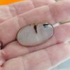 Vintage Dendritic Agate Oval Brooch